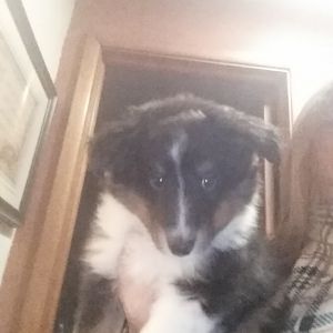 20170126_074926_zps3zai0xqq[1]