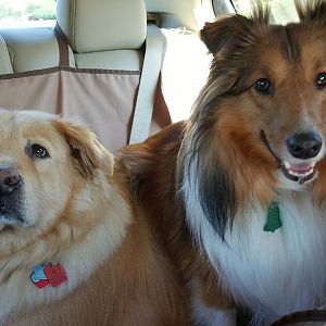 Katie And Max