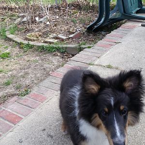 20170409_170323