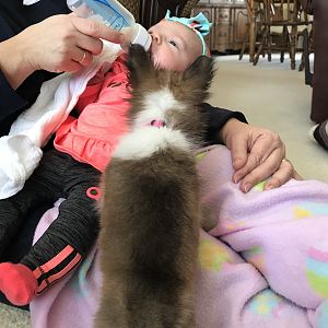 IMG_0577