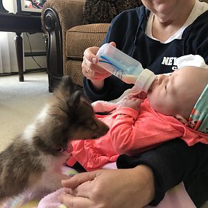 IMG_0579