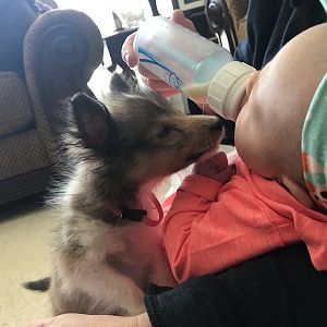 IMG_0585