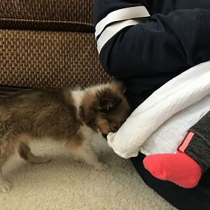IMG_0591