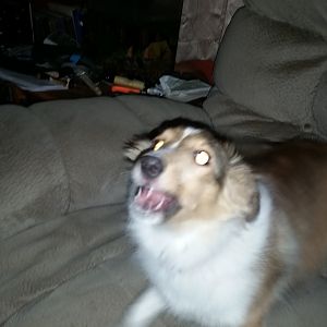 20190315_170633