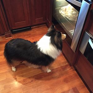 Photo_0438