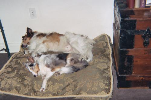 013 10A   The babies sleeping so peacefully.
