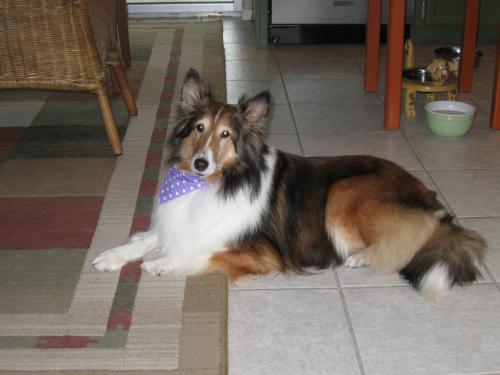 09.03.11 First Grooming