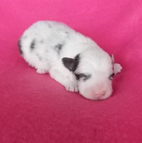 1 1/2 weeks old :)