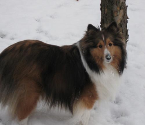 12/16/09 - Snow on the nose!