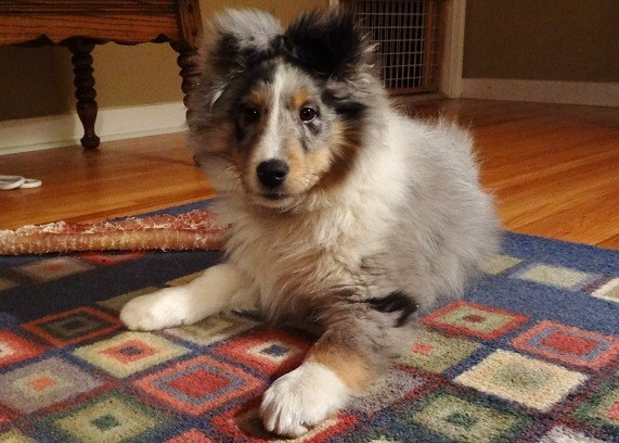 14 weeks
