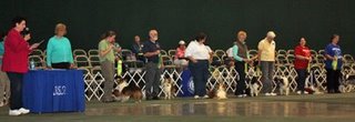 2009 Rescue Parade