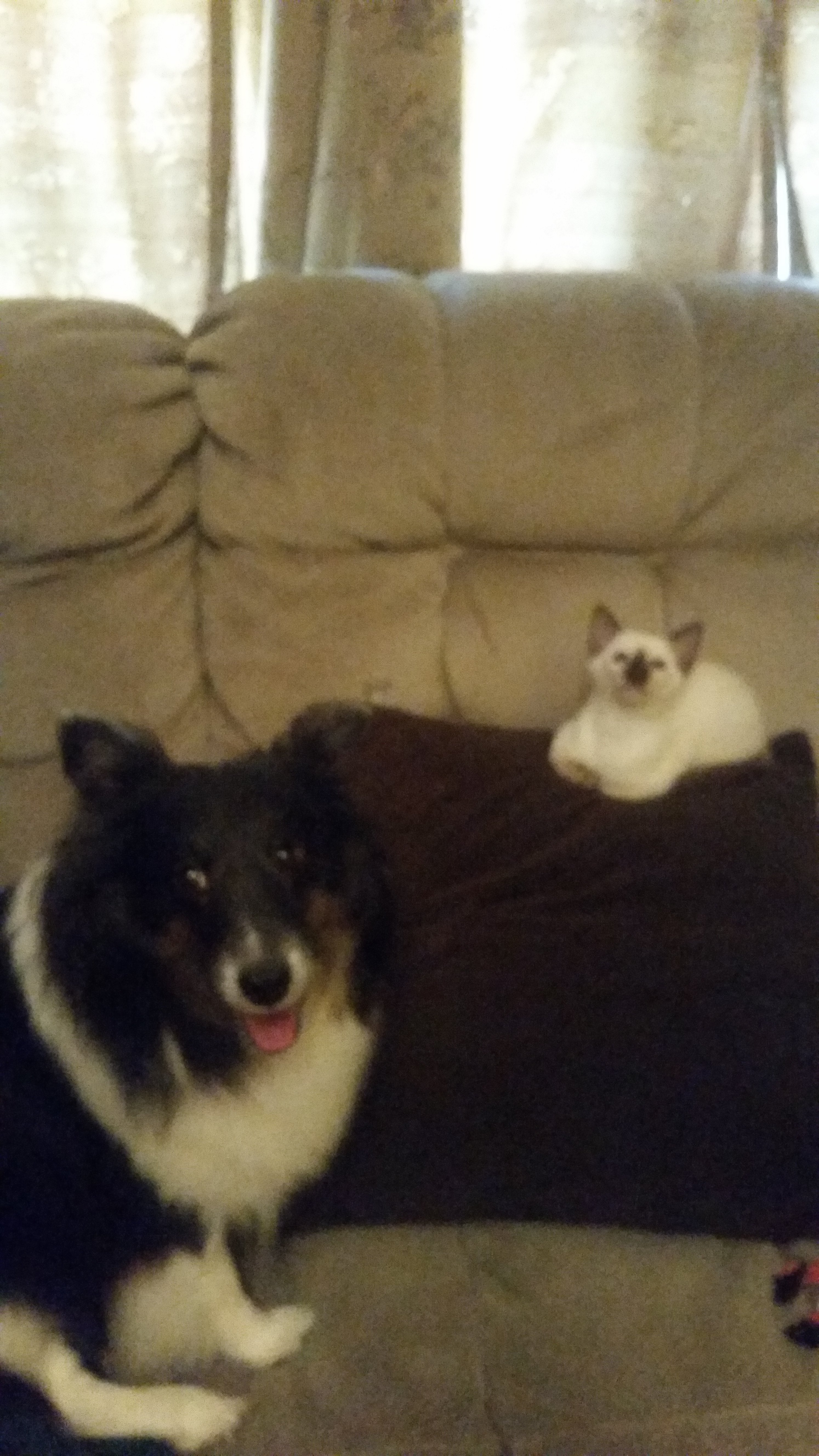 20180710_182142