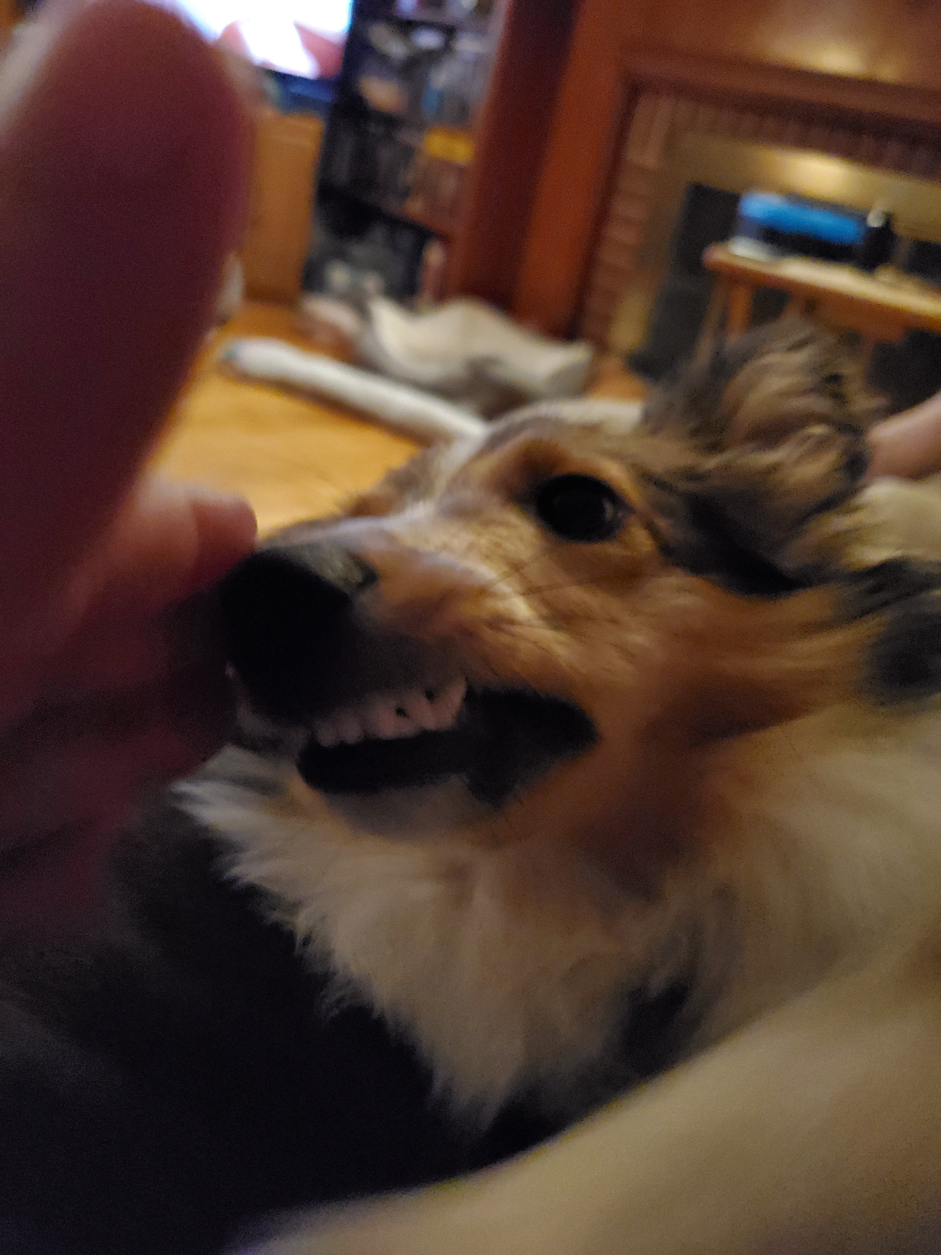 20190605_211536