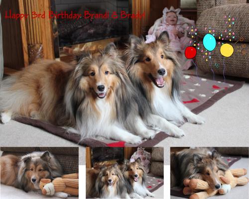 3rd BD photo shoot collage