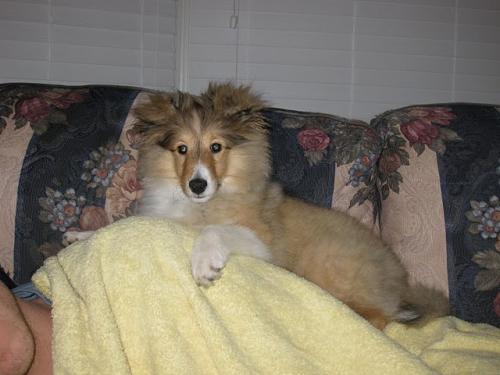 4 Months Old