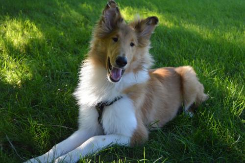 5 months old!