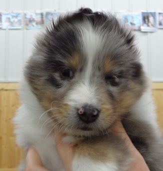 6.5weeks not enjoying his photo op