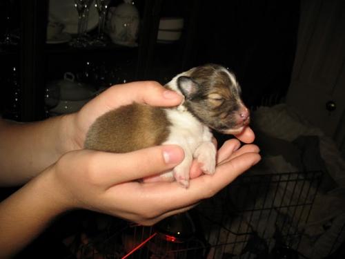6 Days Old