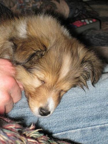 9  Weeks Old