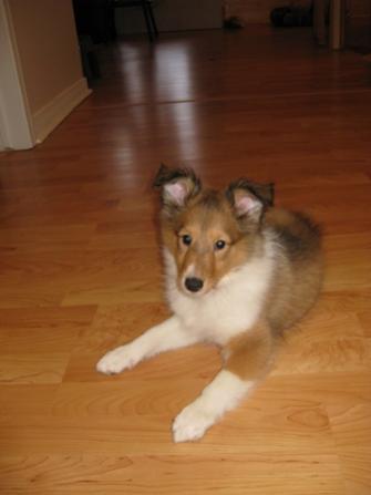 9 weeks