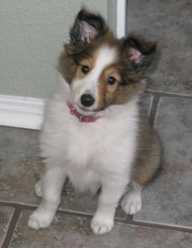 9weeks
