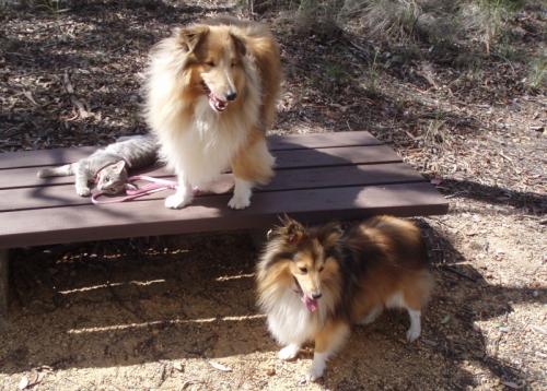 A family that walks together...