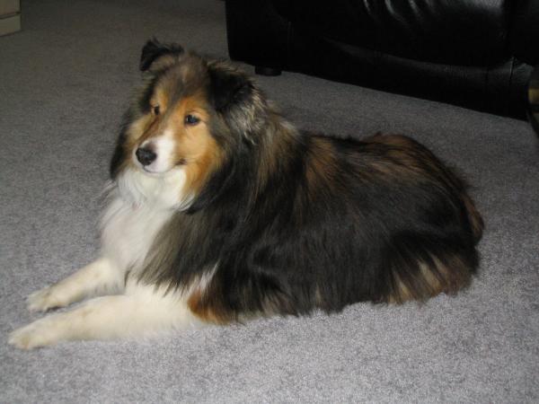 About 10 years old

What a fatso!