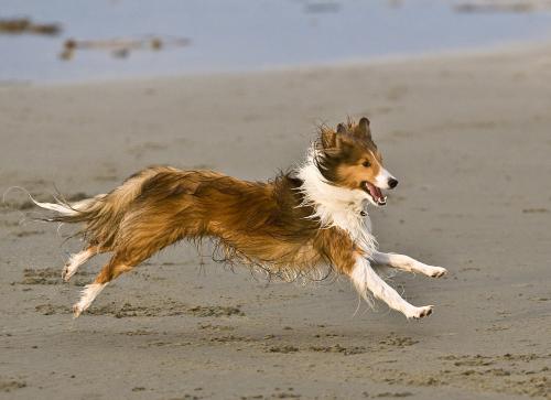 Airborne
