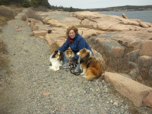 All 3 pups at the ocean