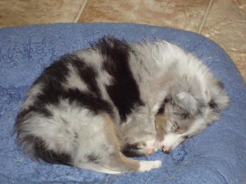 all cute and snuggly