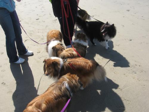 All six in one shot!