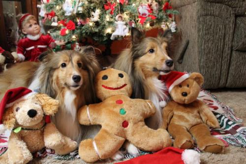 Amongst the toys