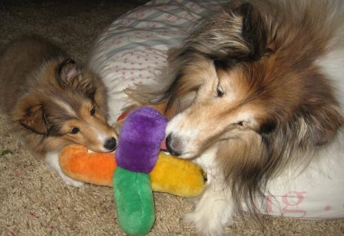 angel and lexi