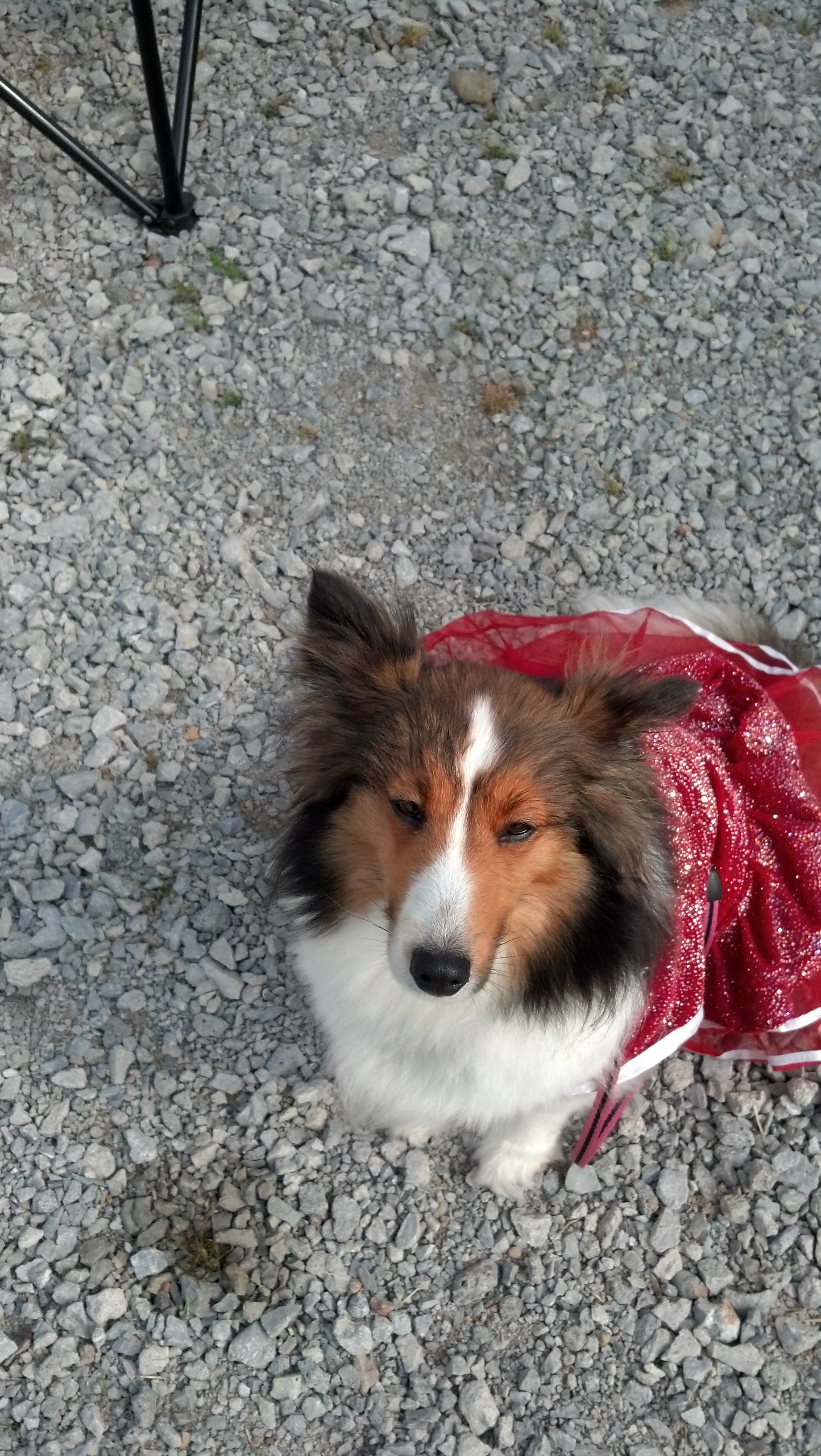 Annabelle playing dress up