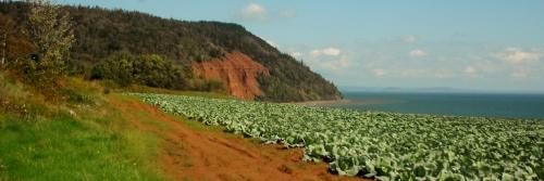 Annapolis Valley, hiking at Cape Blomidon