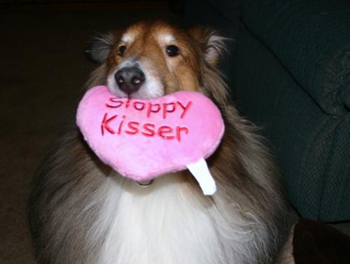 another sloppy kiss