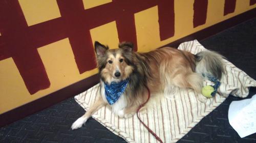 At Agility class