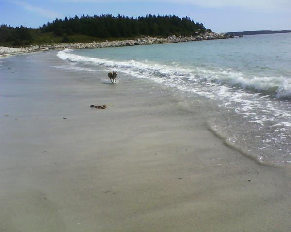 August 2009 070
Wave Herding at Crystal Crescent Beach