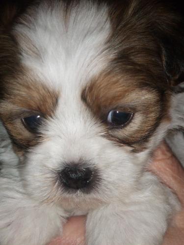 Baby Kenzie