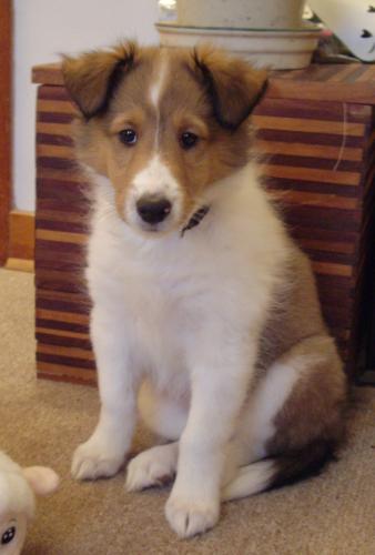 Baby Meggie
