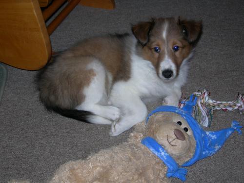 Baby Meggie2