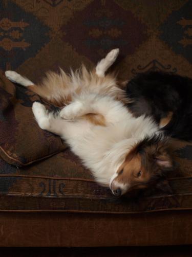 Bacca had a stressful day!