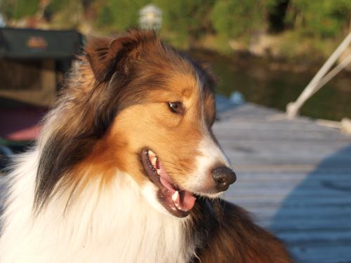 Bacca, just being Bacca...laid back!