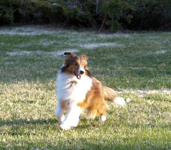 Bacca on the Move!