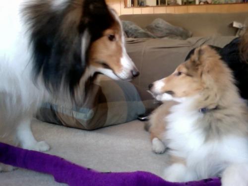 Bailey & Lucy