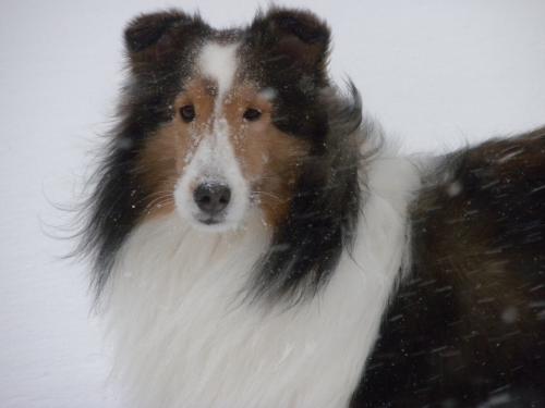 Bailey's glam shot