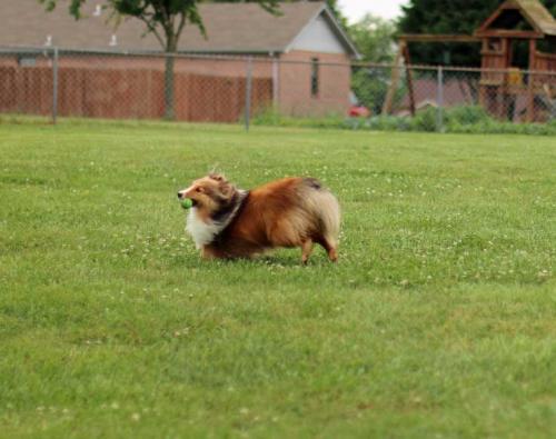 Banked turn