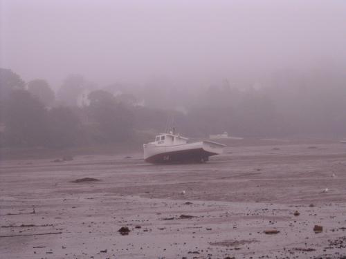 Bay of fundy in the fog, at low tide, lol