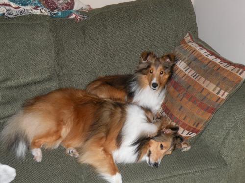Bentley DOES like his sister!