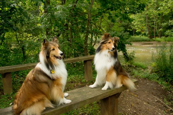 BL Benches4